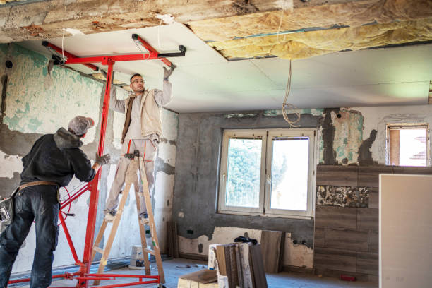 Best Cellulose Insulation in Mount Arlington, NJ